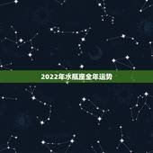 2022年水瓶座全年运势，2021年水瓶座全年运势