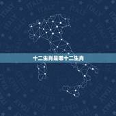 十二生肖是哪十二生肖，谜底是十二生肖的谜语