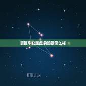 男属牛女属虎的婚姻怎么样，属牛和属虎的结婚好吗