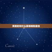男属蛇和什么属相相配最佳，属蛇的男人和什么属相最配？