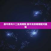 属牛男与十二生肖婚配 属牛女的婚姻配对最佳