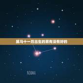 属马十一月出生的男有没有好的，90年属马的是什么命