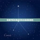 在客厅养乌龟会对风水造成影响吗，家里养乌龟会不会影响风水