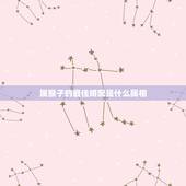 属猴子的最佳婚配是什么属相，属猴的最佳配对属相是什么