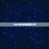 1985海中金婚配哪个好，本人85年属牛 农历五月初九出生的，海中金命