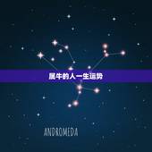 属牛的人一生运势，属牛的一生运气和命运
