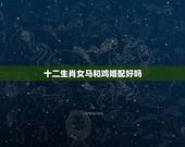 十二生肖女马和鸡婚配好吗，我的属相是鸡，女孩，请问鸡和哪个属相最相配？