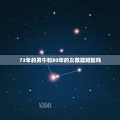 73年的男牛和80年的女猴能婚配吗，1973年男牛和1980年女猴婚姻
