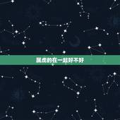 属虎的在一起好不好，98年两个属虎的在一起