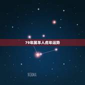 79年属羊人虎年运势，属羊 虎年运程