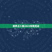 塔罗占卜我2023年桃花运，用塔罗牌占卜了一下未来的爱情运势，谁能帮我