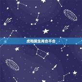 虎和属生肖合不合，老虎跟老鼠合得来吗