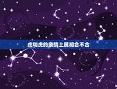 虎和虎的亲情上属相合不合，属虎的和属虎的可以配对吗