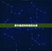 属牛最招财的微信头像，属牛:2018年用什么头像招财