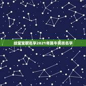 给宝宝取名字2021年属牛男孩名字，男孩名字2021年属牛