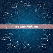 虎年出生的男宝取啥名 虎年最旺男宝名字