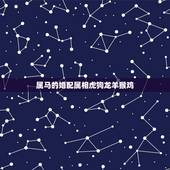 属马的婚配属相虎狗龙羊猴鸡，属马的配什么属相好