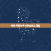 夺龚州袁尚争锋形容什么属相，夺冀州袁尚争锋，打一个生肖