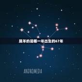 属羊的是哪一年出生的67年，属兔的是哪一年出生的