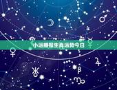 小运播报生肖运势今日，生肖运势今日