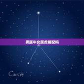 男属牛女属虎相配吗，女属虎配男属牛的好吗