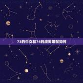 73的牛女和74的虎男婚配如何，73年属牛女与74年属虎男今年感情？