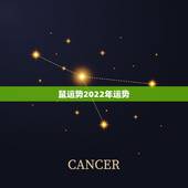 鼠运势2022年运势，属鼠2021年运势及运程每月运程