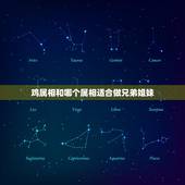 鸡属相和哪个属相适合做兄弟姐妹，兄弟姐妹一大堆的动物猜生肖