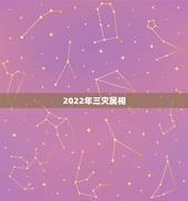 2022年三灾属相，2022年最不顺利的生肖
