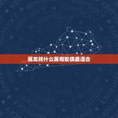 属龙找什么属相配偶最适合，属龙的和什么属相最配