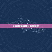 63年属兔男找什么属相好，63年属兔男去逝什么属相不可去吊唁？