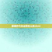 属猪的今年运势怎么样2022，2022 年11月生肖猪运势