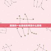 属猪的一生最佳配偶是什么属相，属猪的最好配相