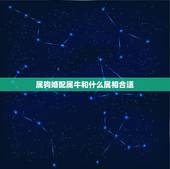 属狗婚配属牛和什么属相合适，属牛的和属狗的相配吗