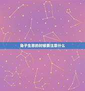 兔子生崽的时候要注意什么，母兔生小兔要注意什么