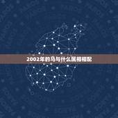 2002年的马与什么属相相配，属马的和什么属相最配
