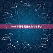 1985年属牛是什么命今年多大，73年是什么命年