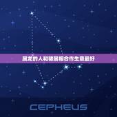 属龙的人和猪属相合作生意最好，属猪的和属龙的在一起做生意好不好