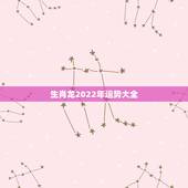 生肖龙2022年运势大全，2021属龙的全年运势