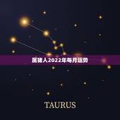 属猪人2022年每月运势，属猪人2023年运势运程每月运程