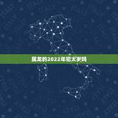 属龙的2022年犯太岁吗，2022年太岁星君图片