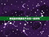 猪和鼠的属相合不合在一起好吗，十二属相相生相克鼠和猪相克吗