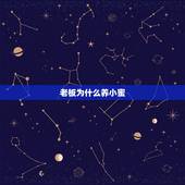 老板为什么养小蜜，我得罪了老板小蜜，她找茬告诉了老板，老板很生气当面问