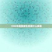 1980年属猴做生意跟什么属相，属猴和什么属相做生意才好