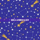 属羊人公司取什么名字，1979年属羊男微信昵称