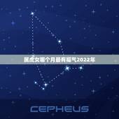 属虎女哪个月最有福气2022年，2022年属虎的几月出生更好