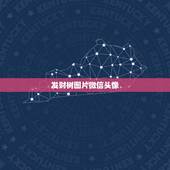 发财树图片微信头像，微信用什么头像，真能看出一个人的性格么