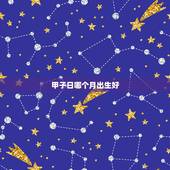 甲子日哪个月出生好，己巳和甲子可以合化吗