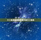 十二生肖属相婚配表大全十二生肖，最吉利最齐全十二生肖婚配表搭配的吗