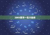 2003属羊一生大劫年，1991年属羊一生有几次大的劫